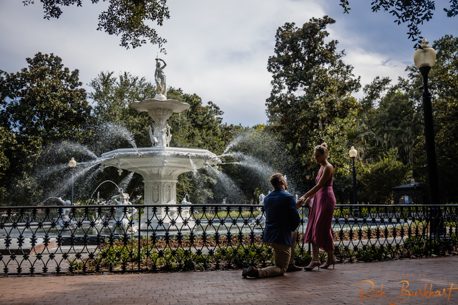 Surprise Forsyth Park Proposal